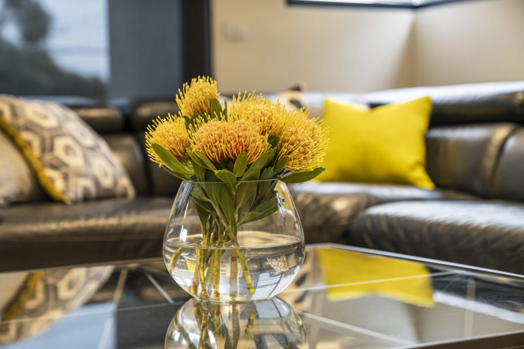 coffee-table-2024-09-12-03-24-52-utc